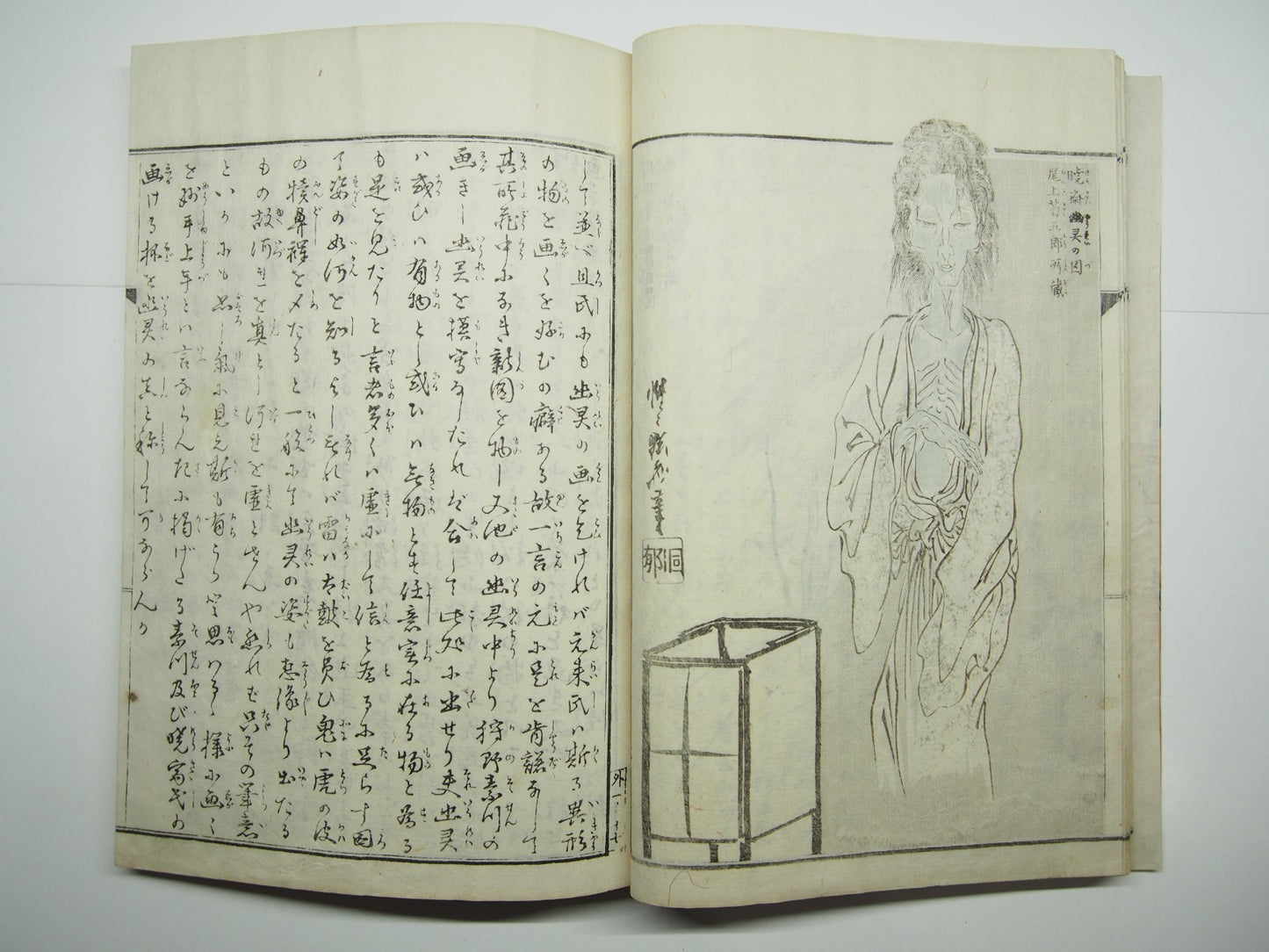Image #11
