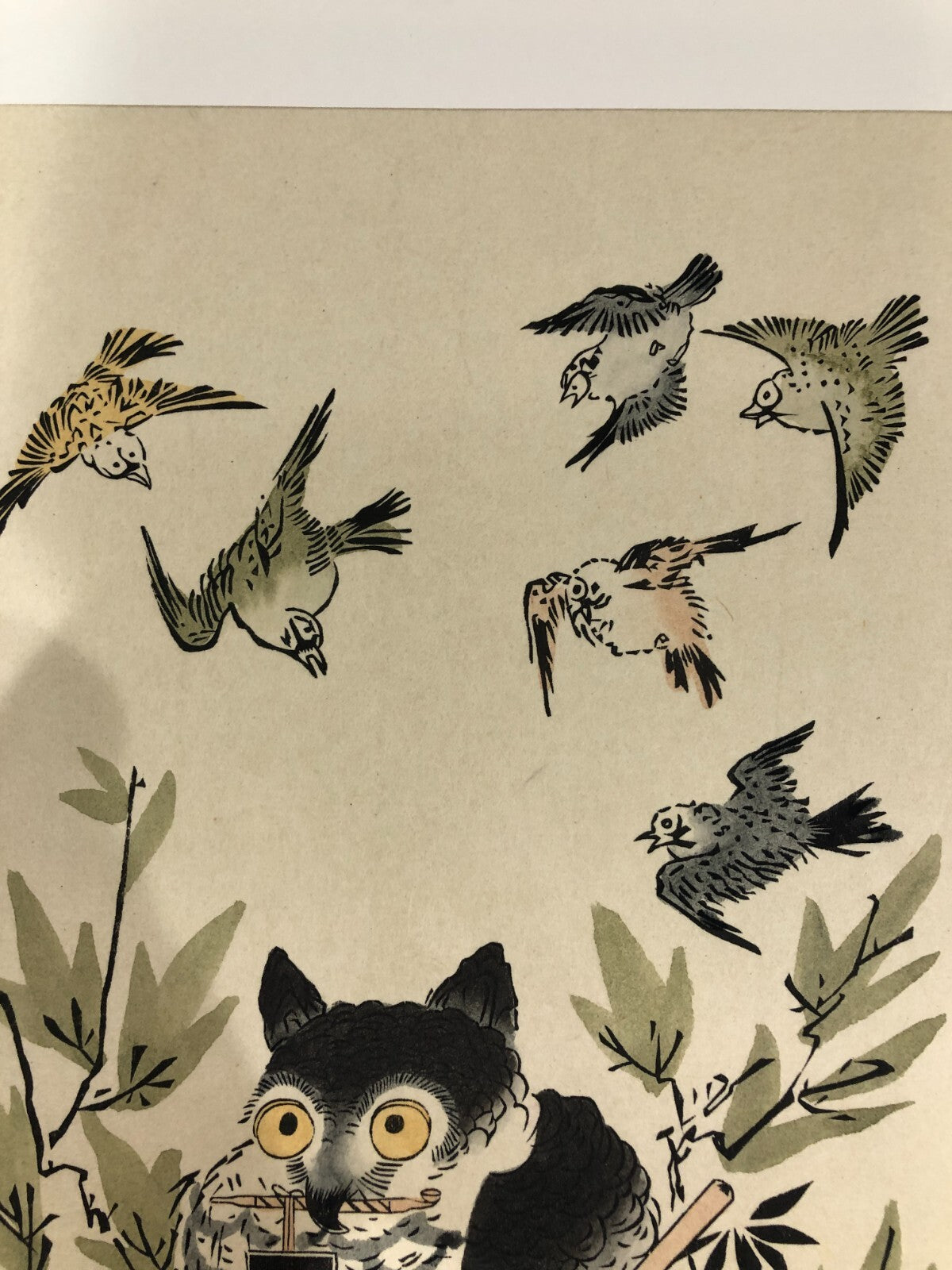 Image #6