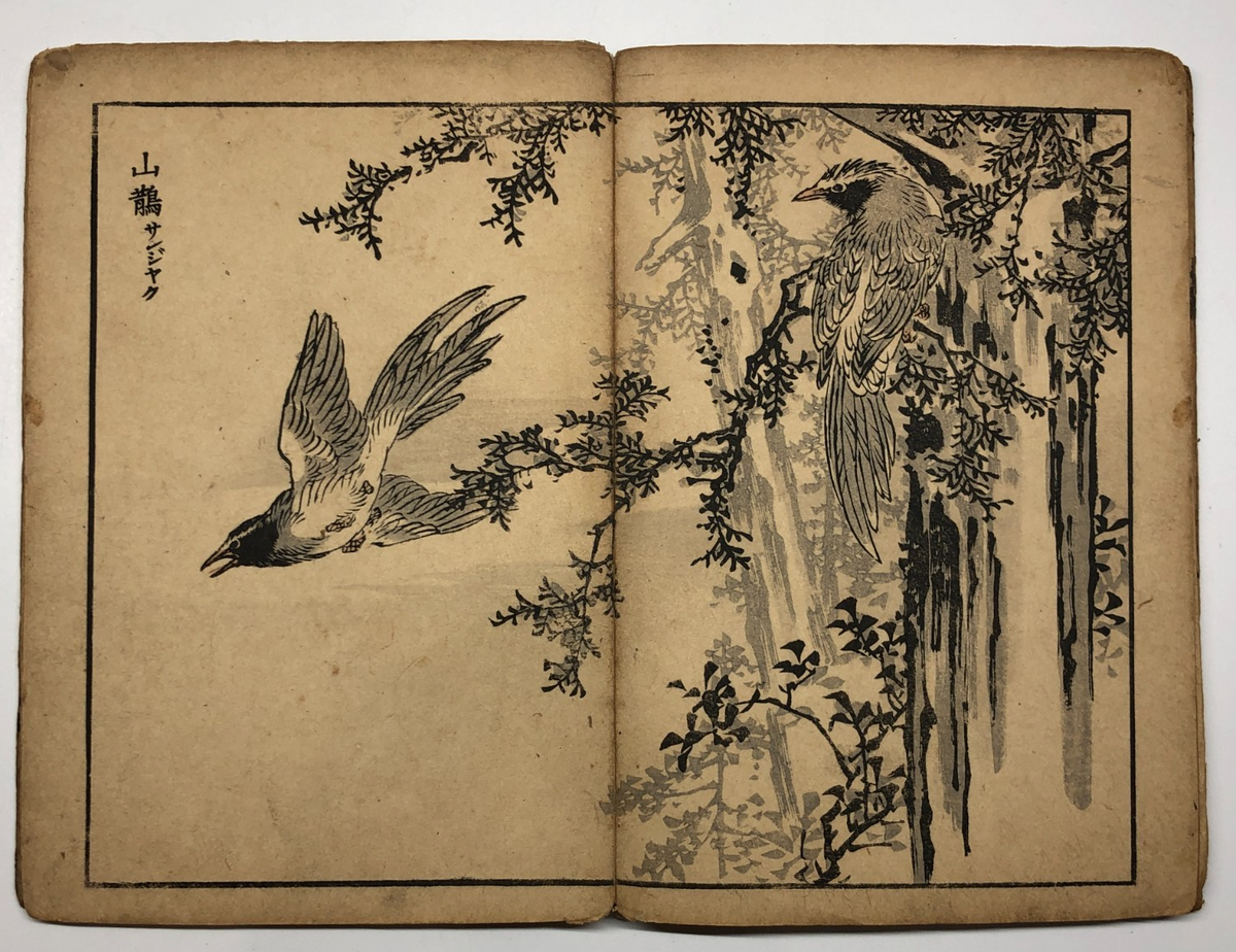 Image #15