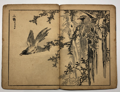 Image #15