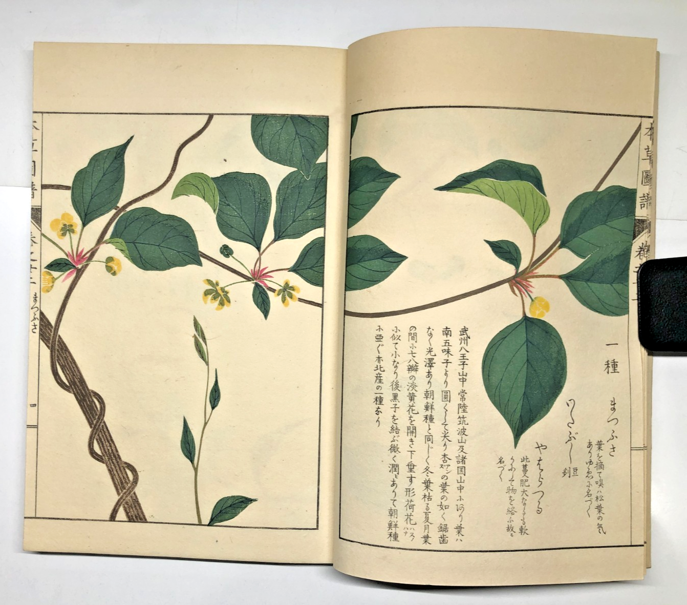 Image #11