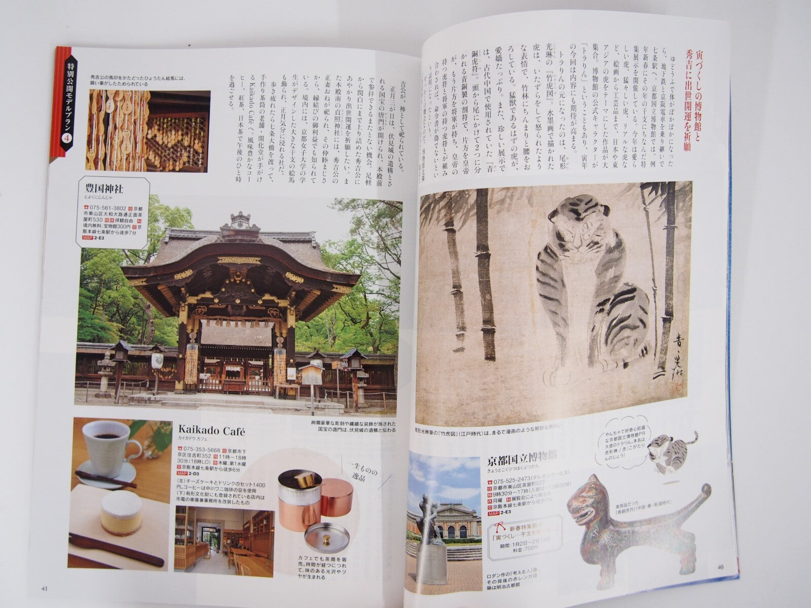 Image #5