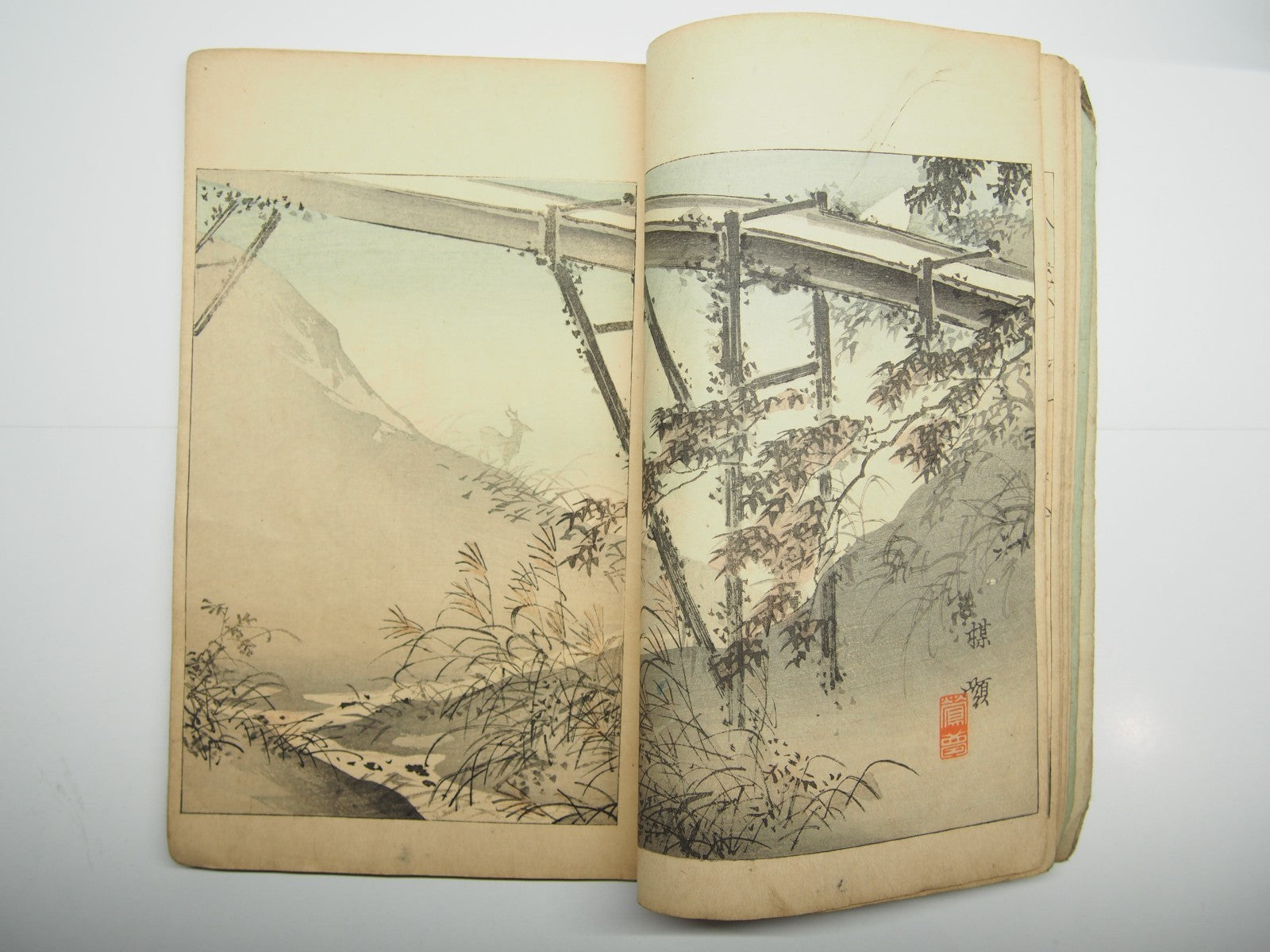 Image #7