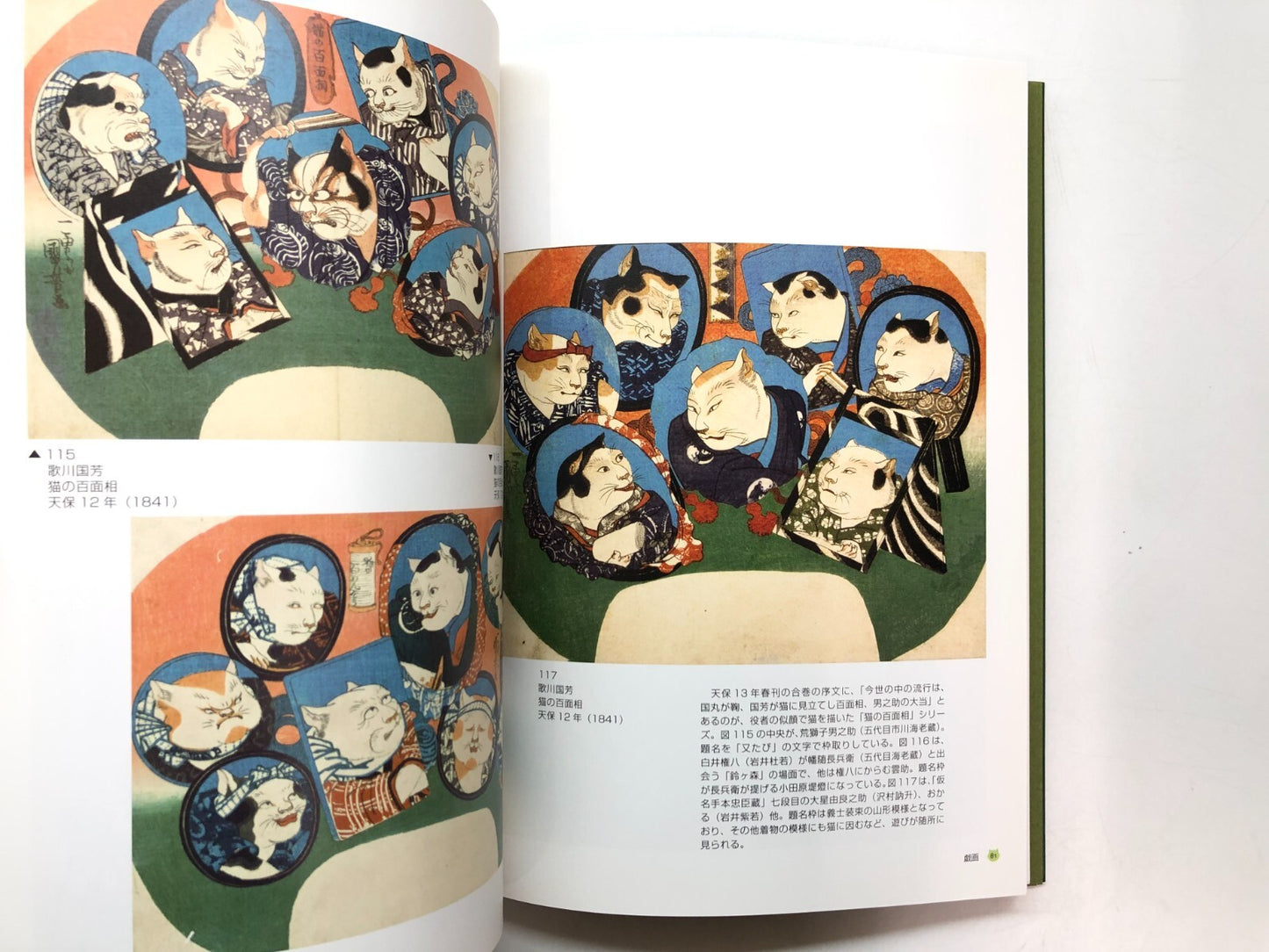 Image #7