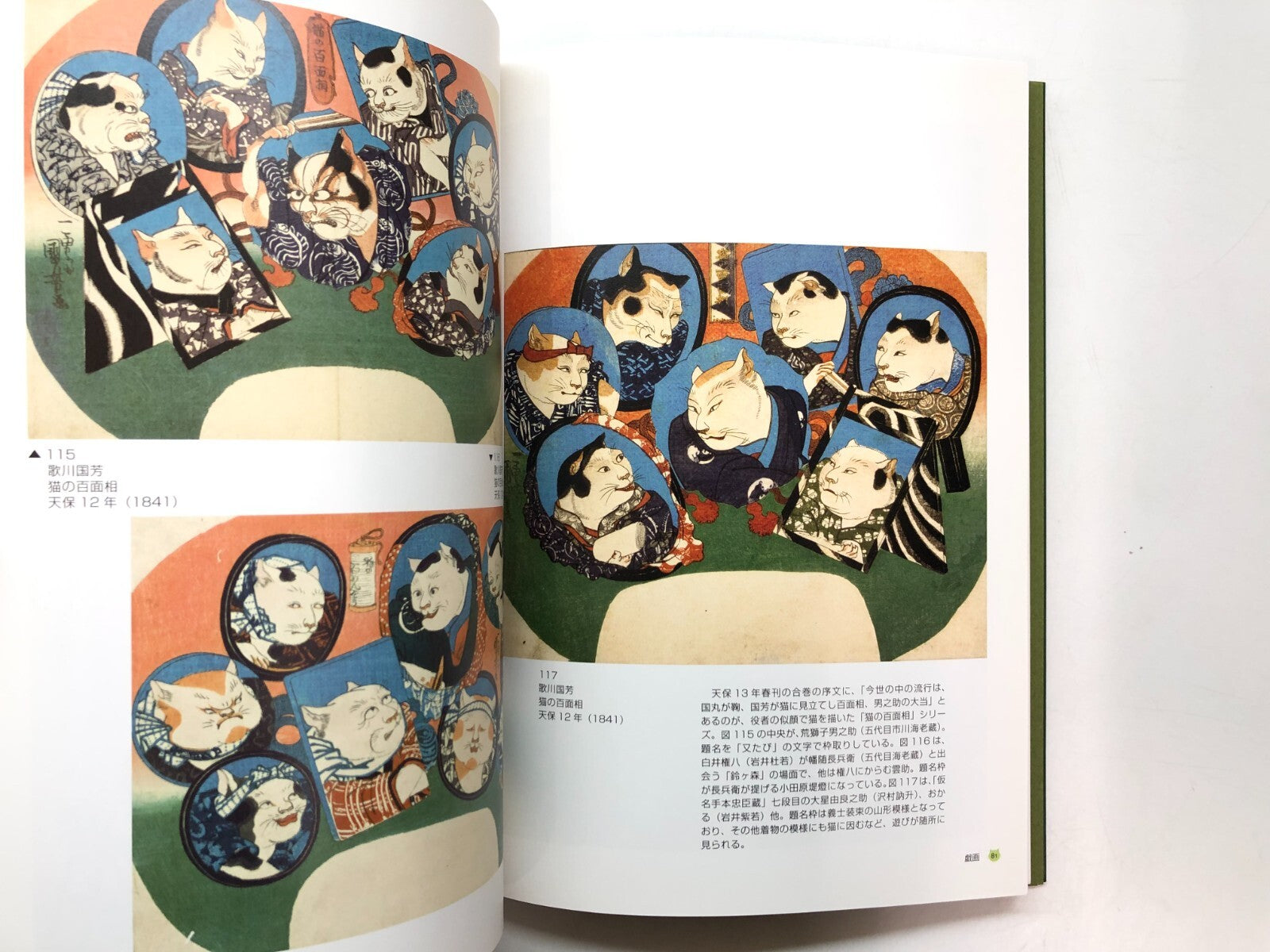 Image #7