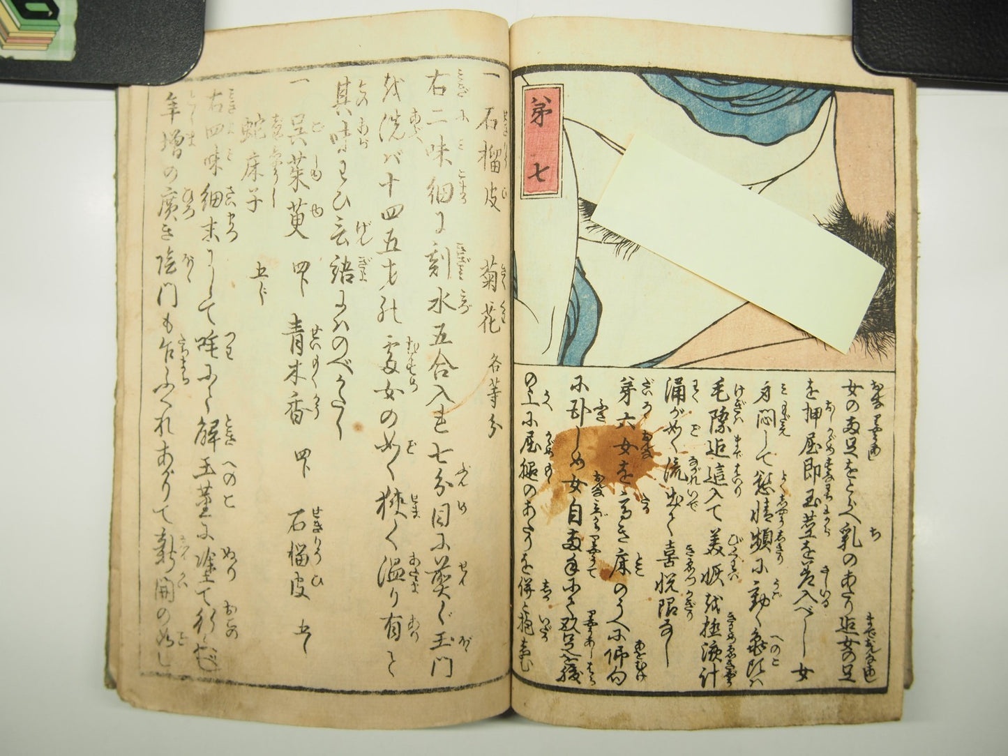 Image #11