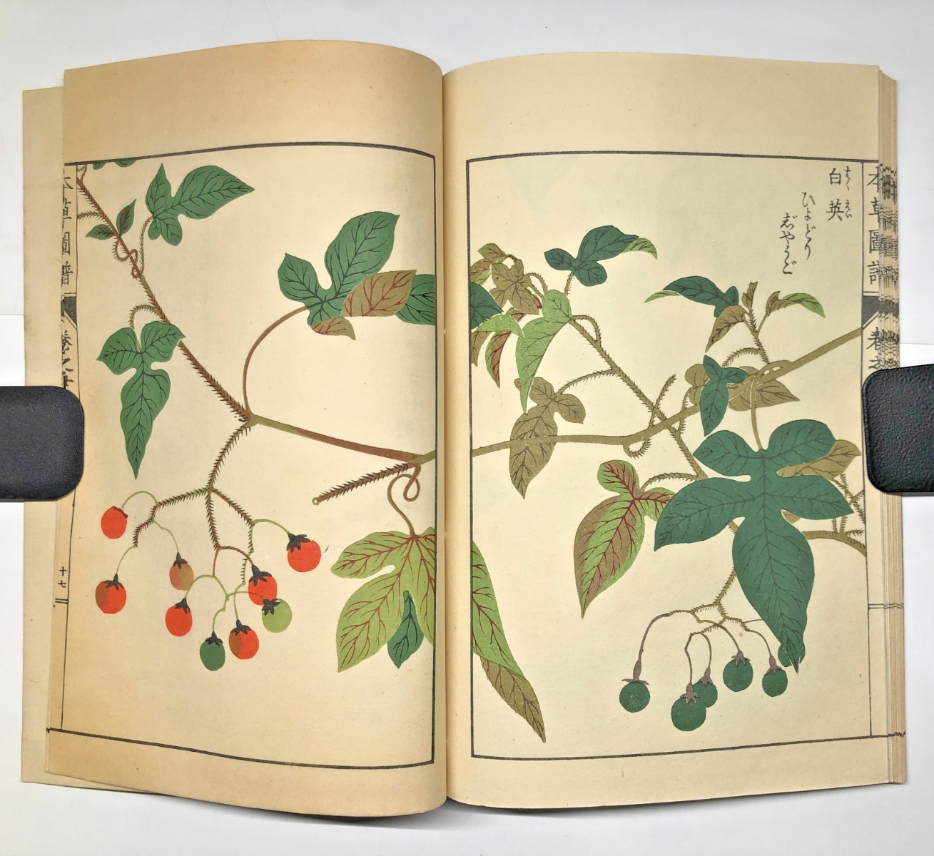 Image #14