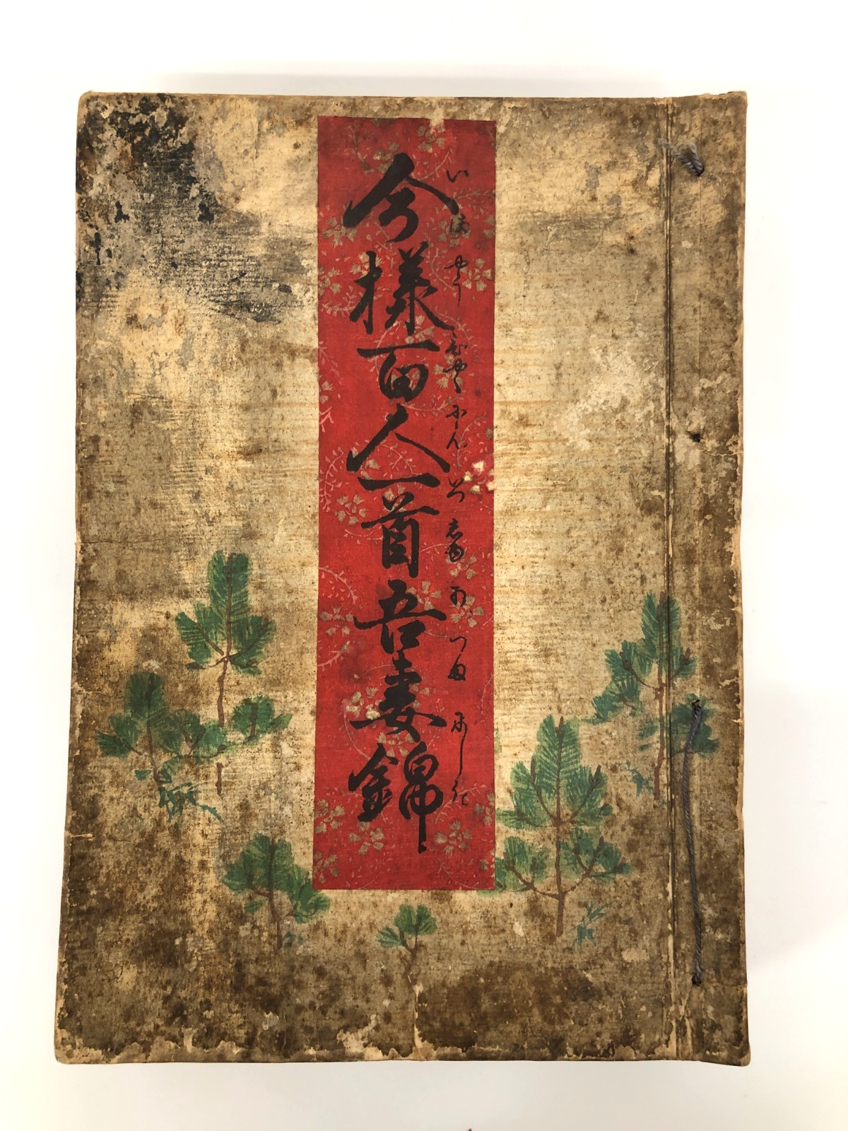 Image #3