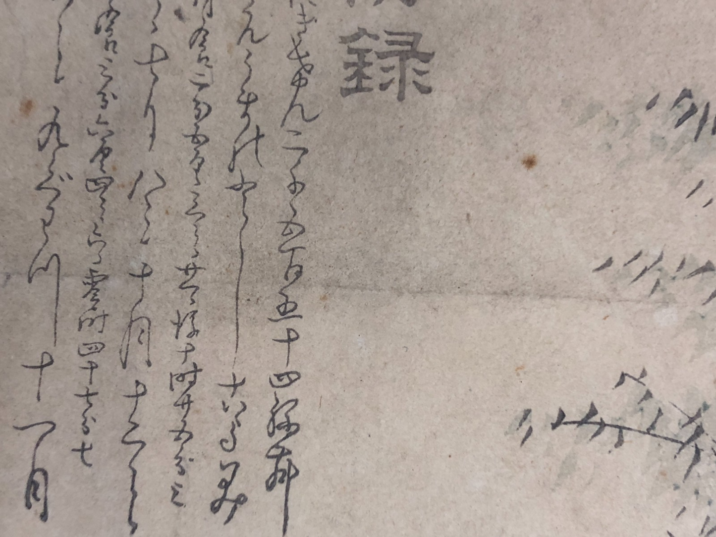 Image #12