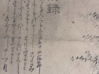 Image #12