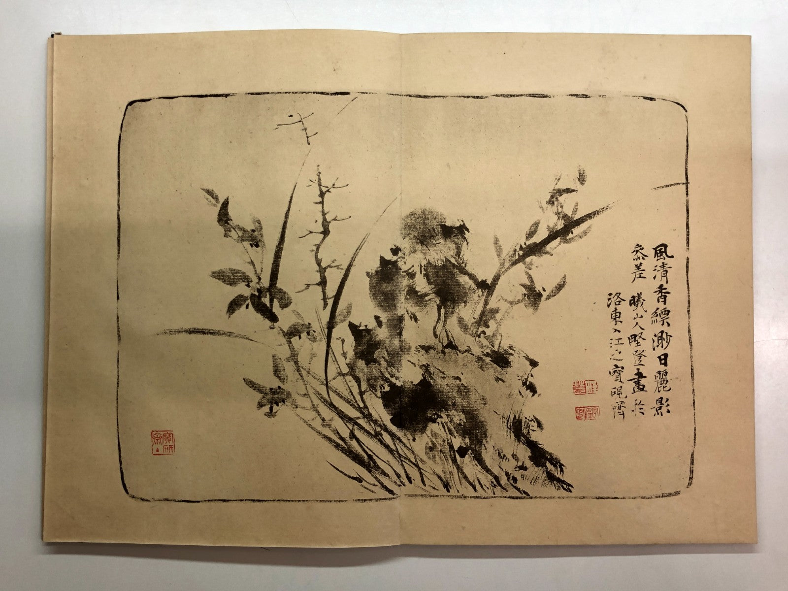 Image #12