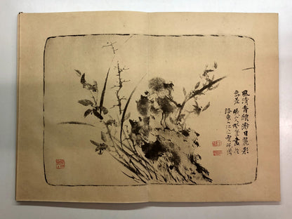 Image #12