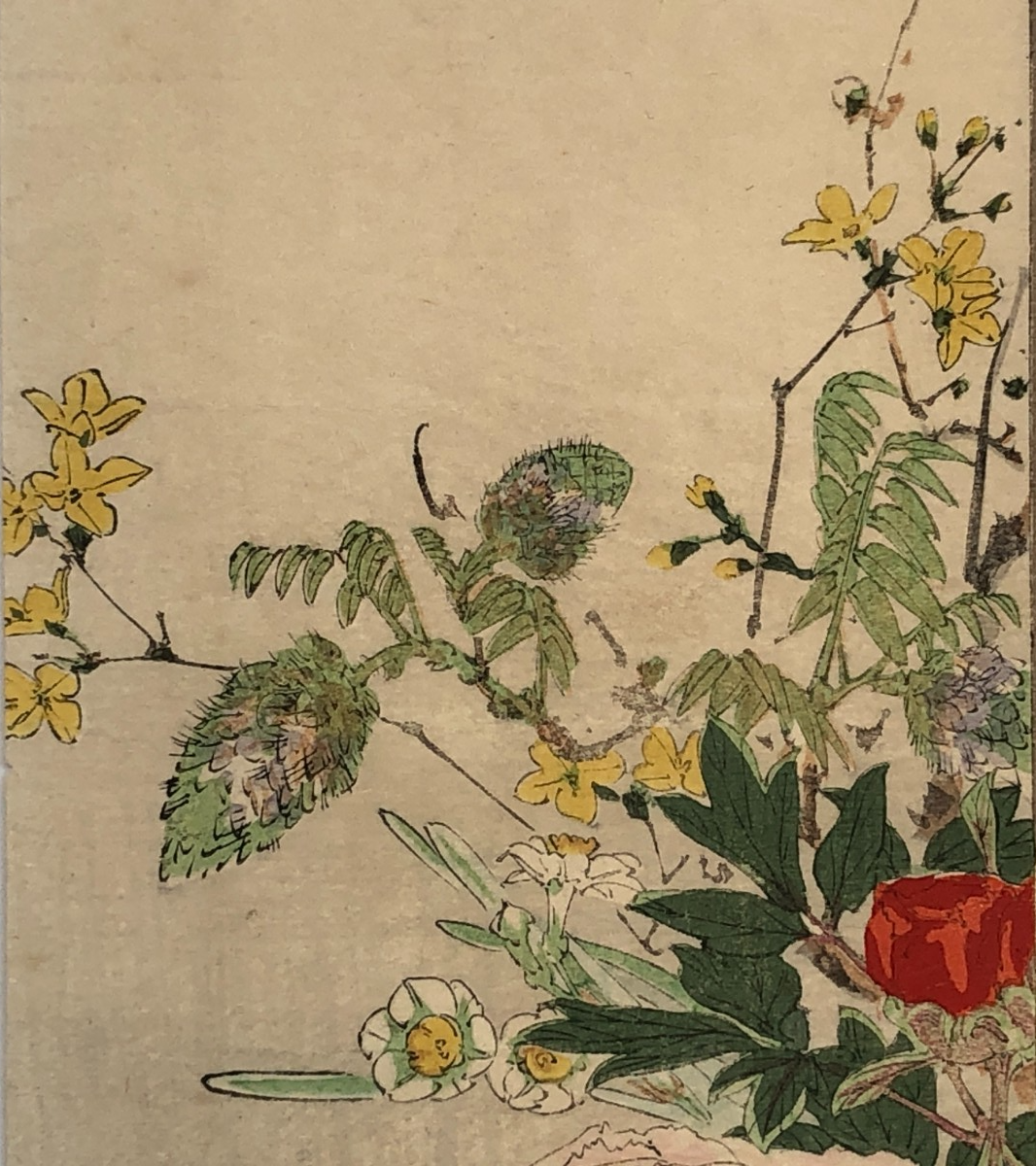 Image #14