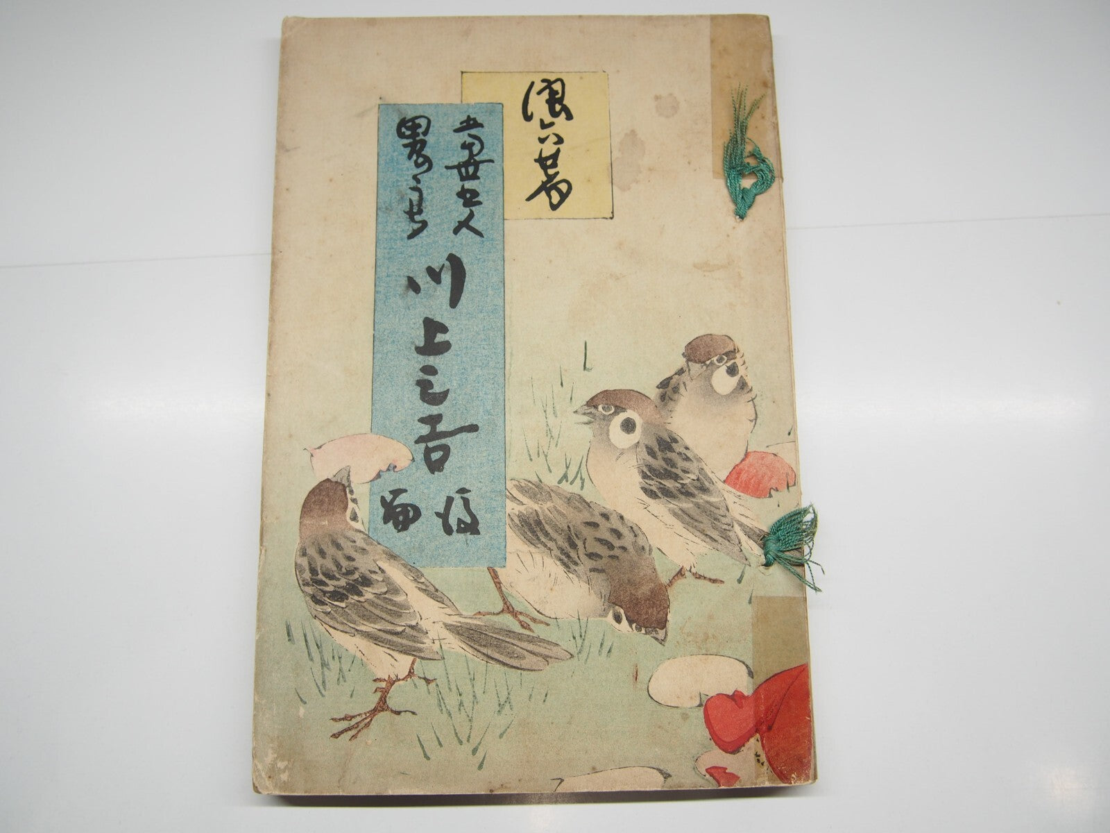 Image #7