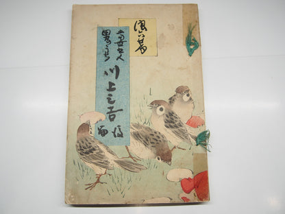 Image #7