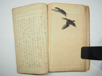 Image #18