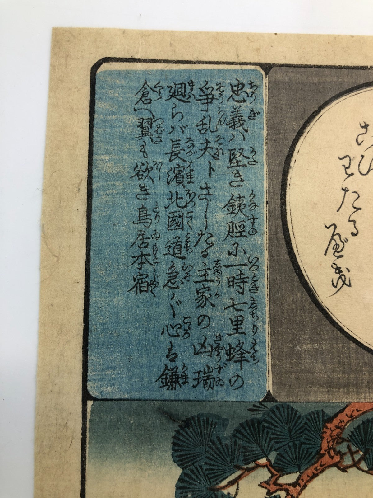 Image #7