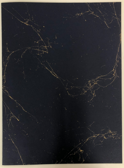 Image #9