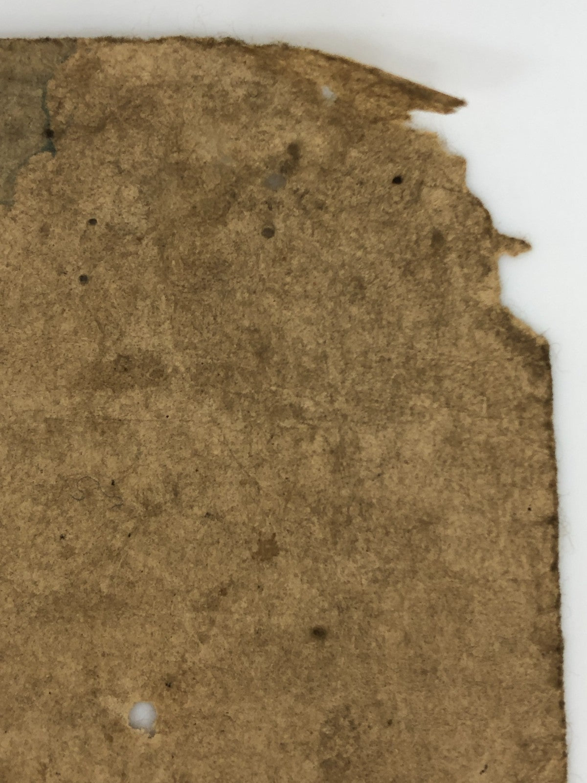Image #11