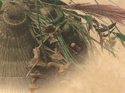 Image #11