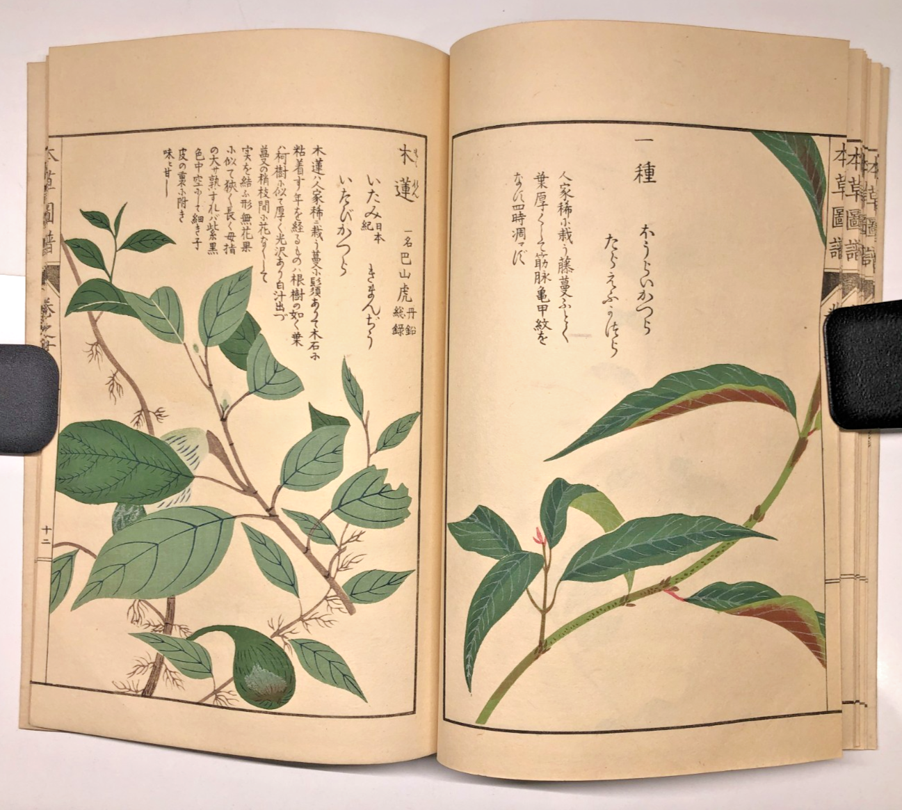 Image #13