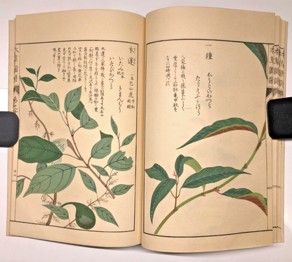 Image #13