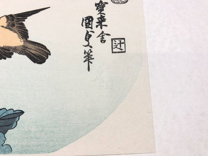 Image #10
