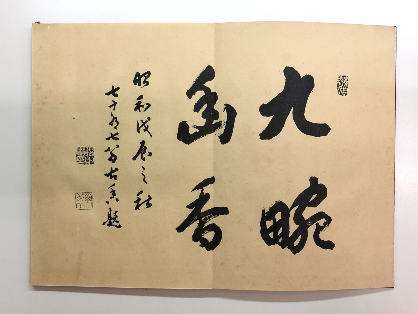 Image #5