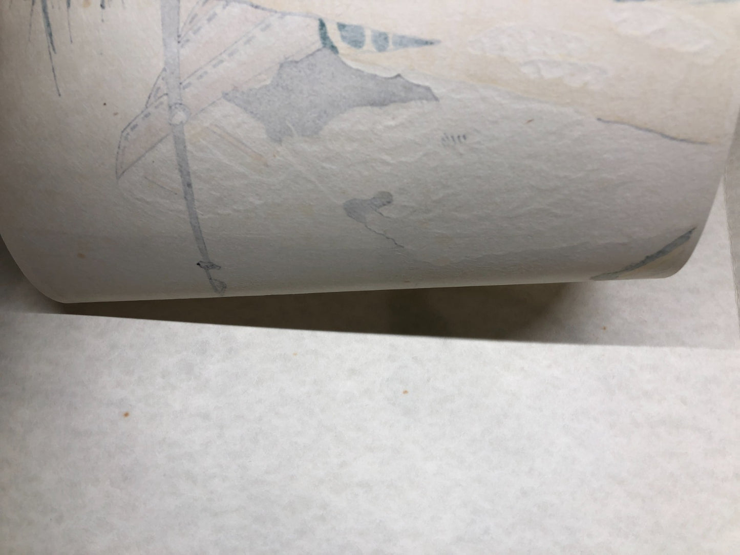 Image #7