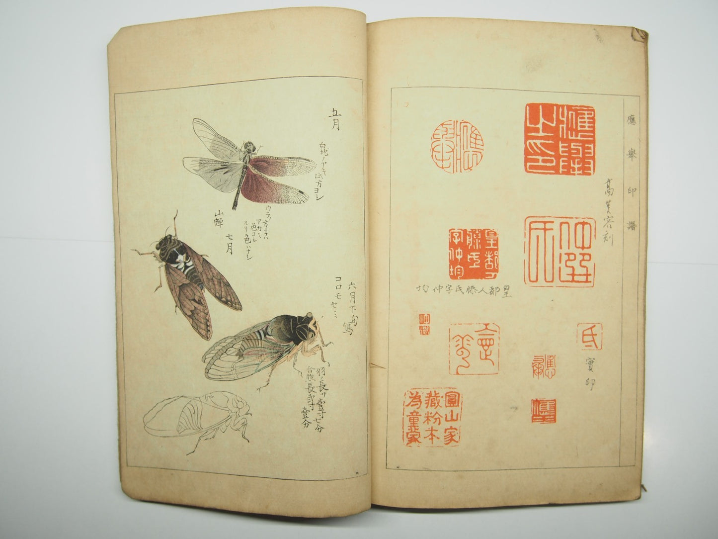 Image #15