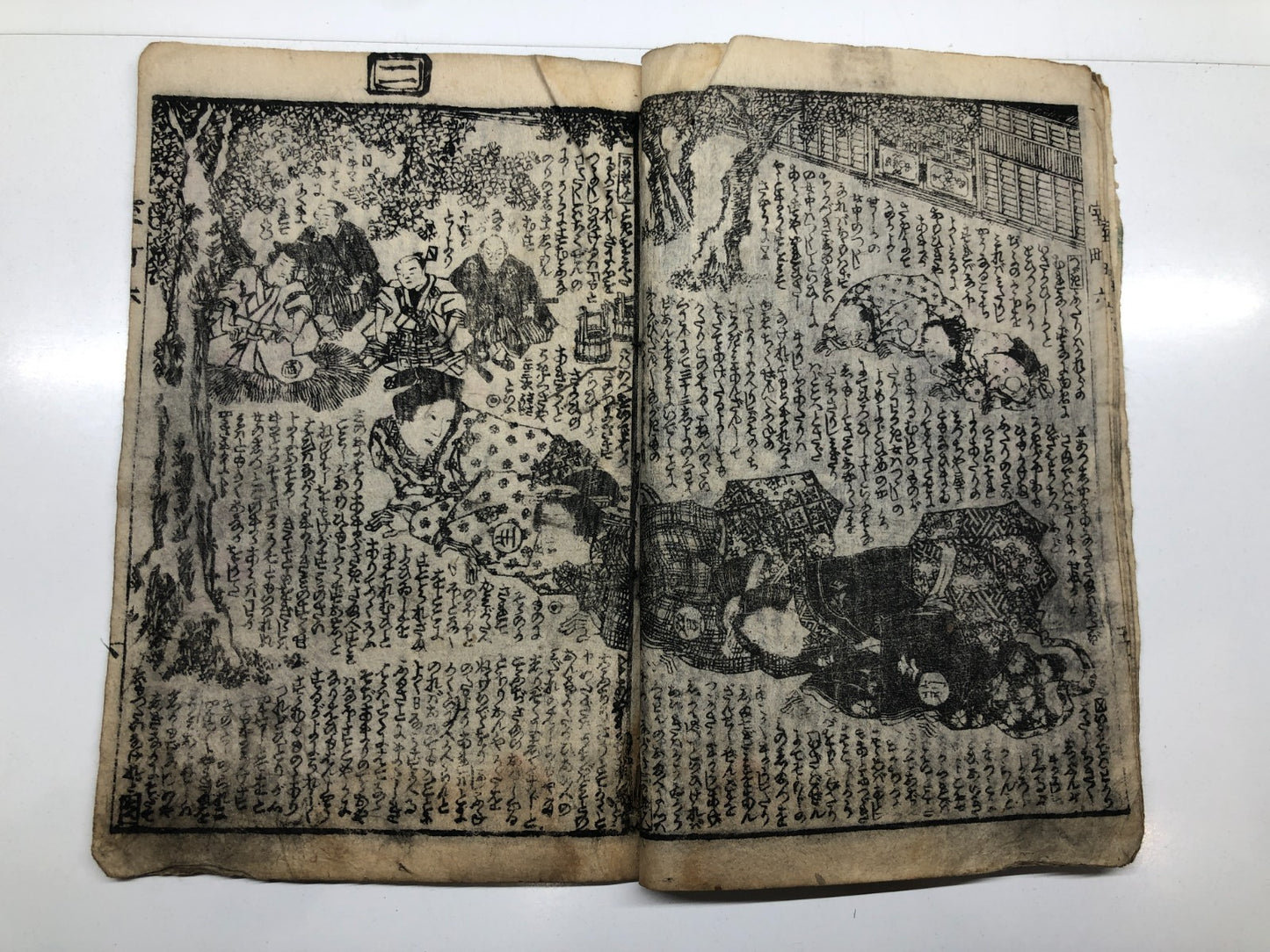 Image #13