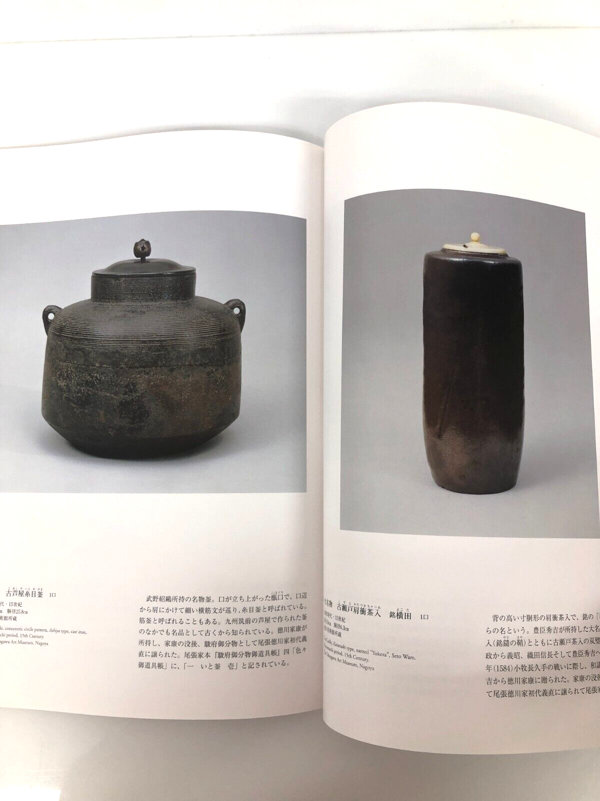 Image #5