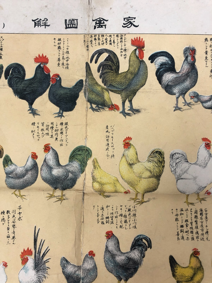 Image #20