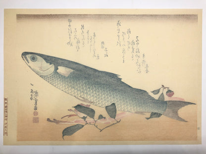 Image #8