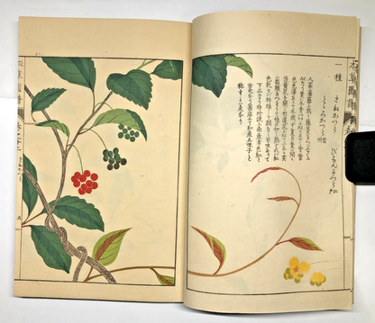 Image #12