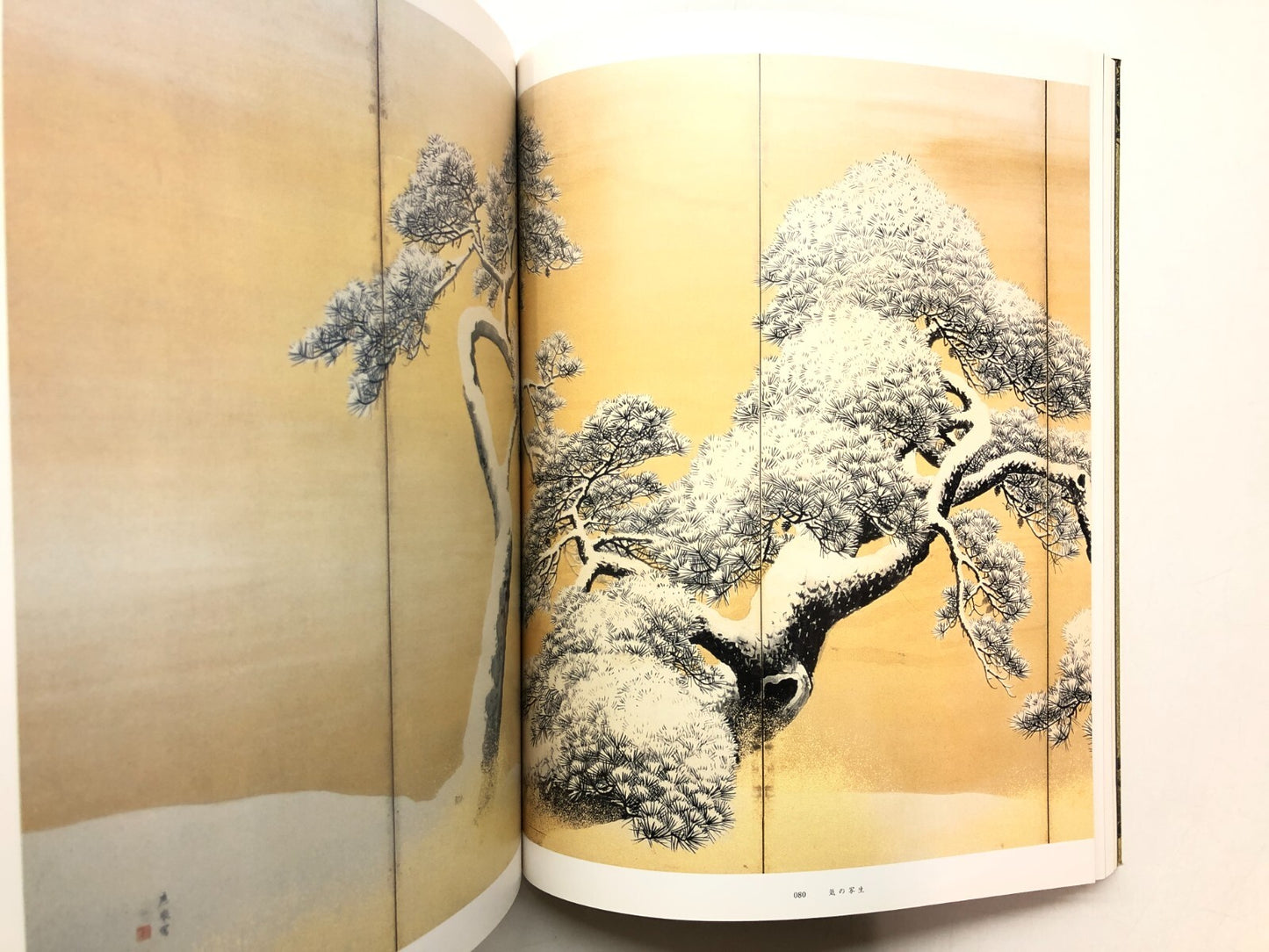 Image #6