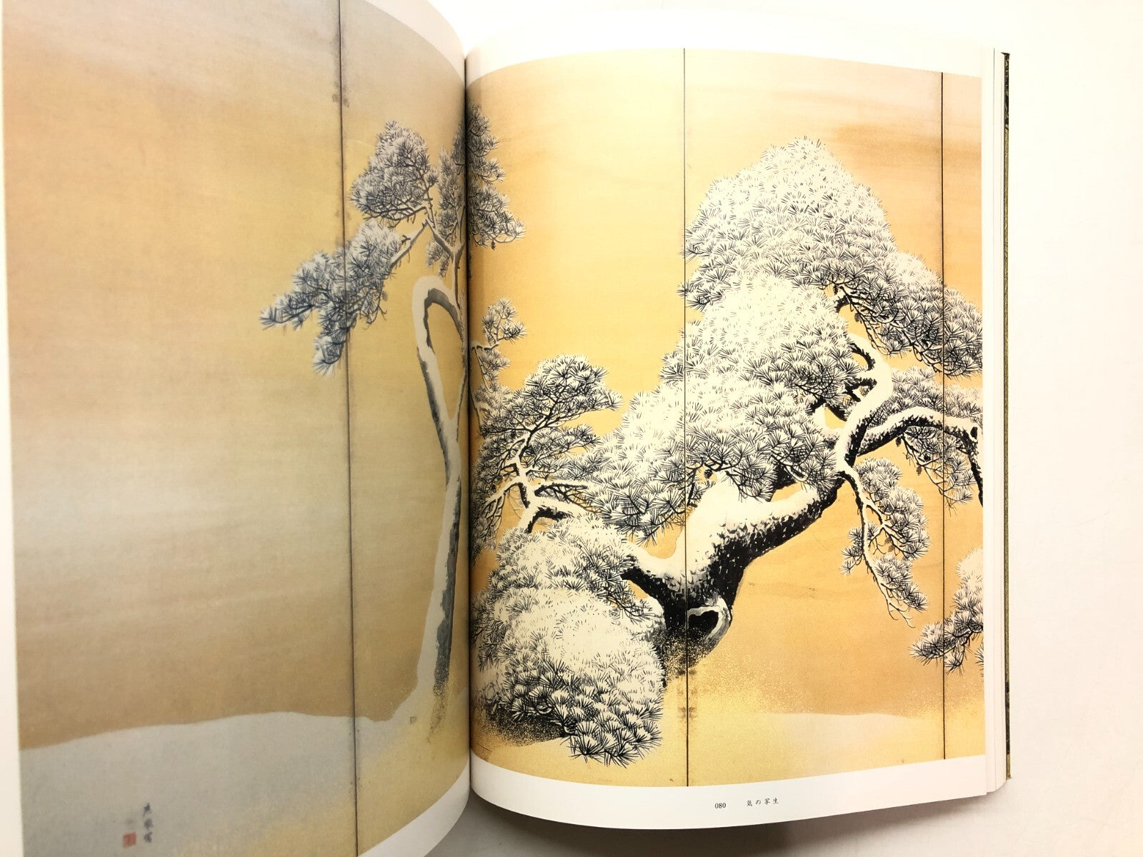 Image #6