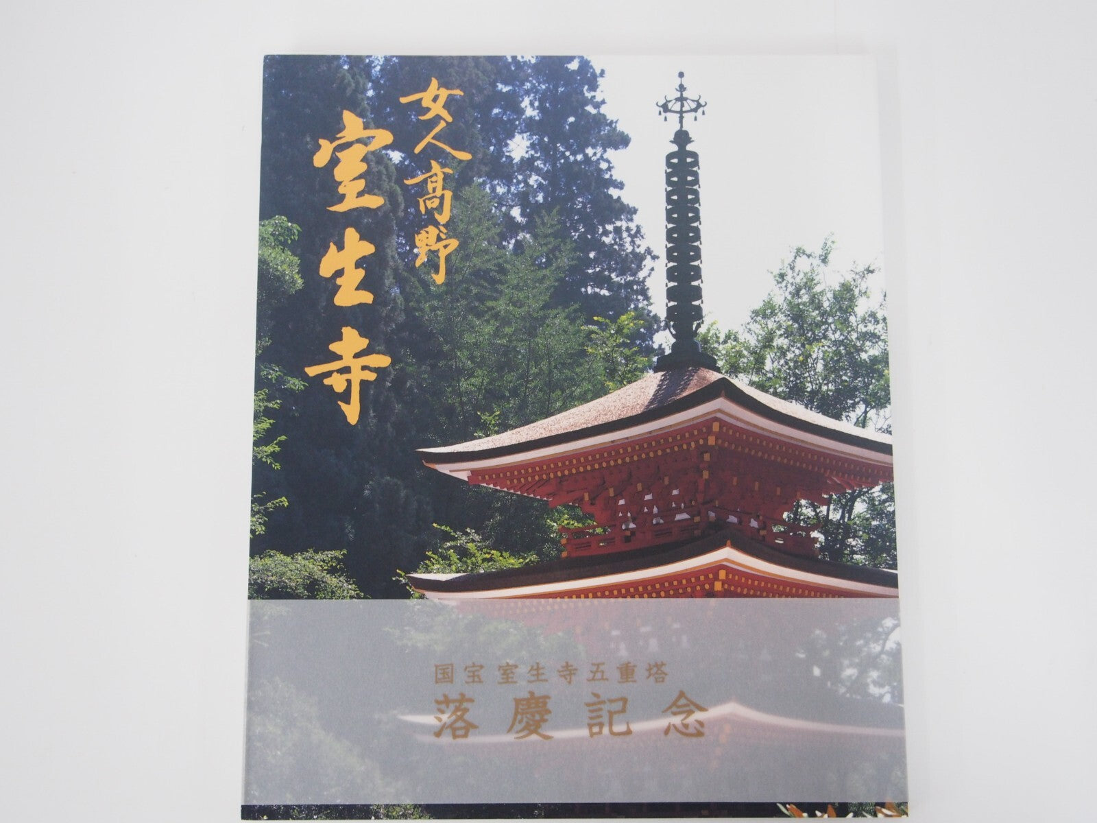 Image #1