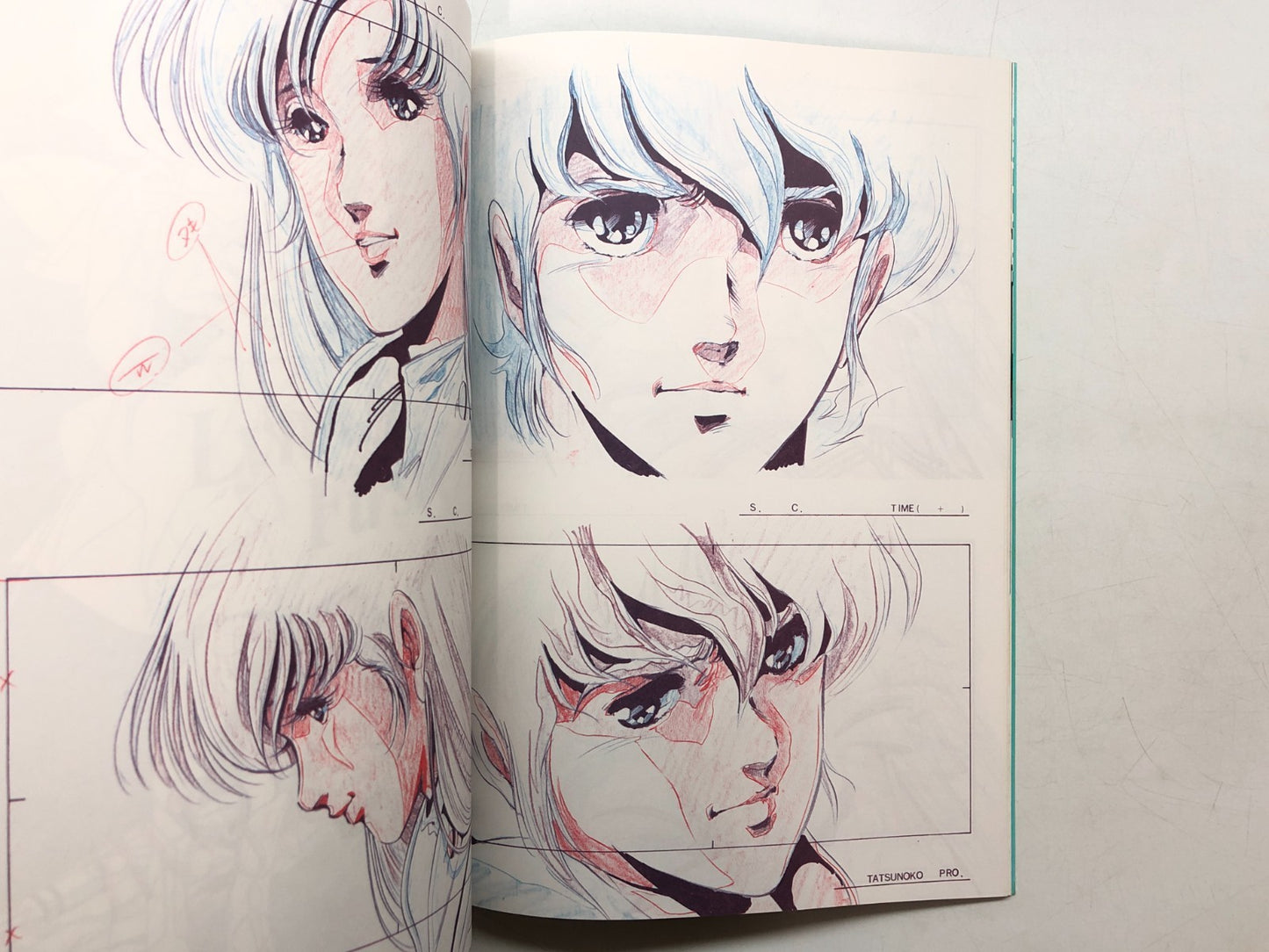 Image #10