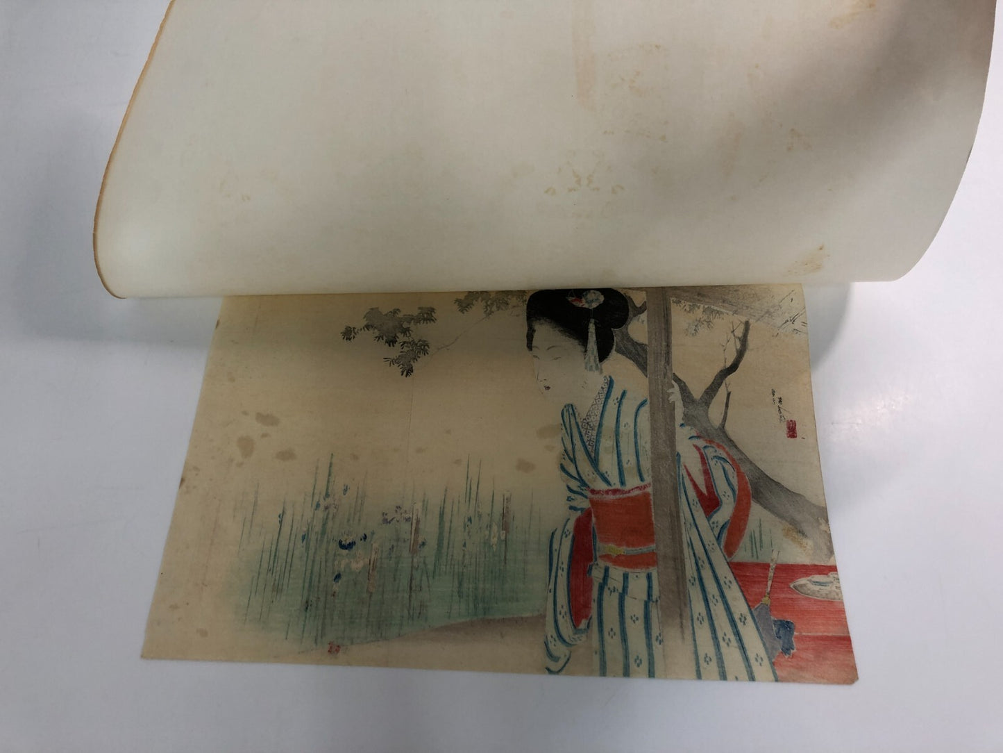 Image #6