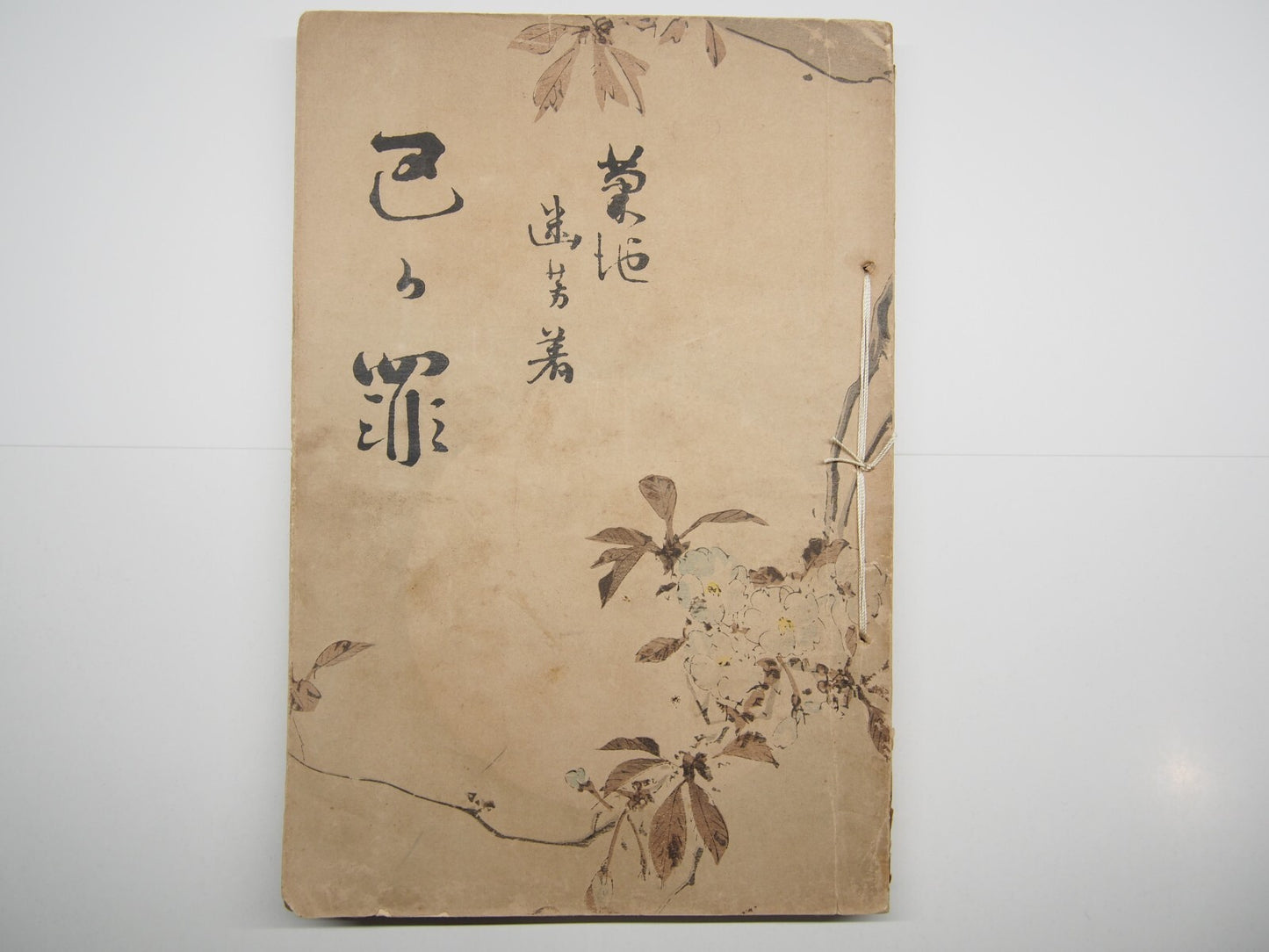 Image #6