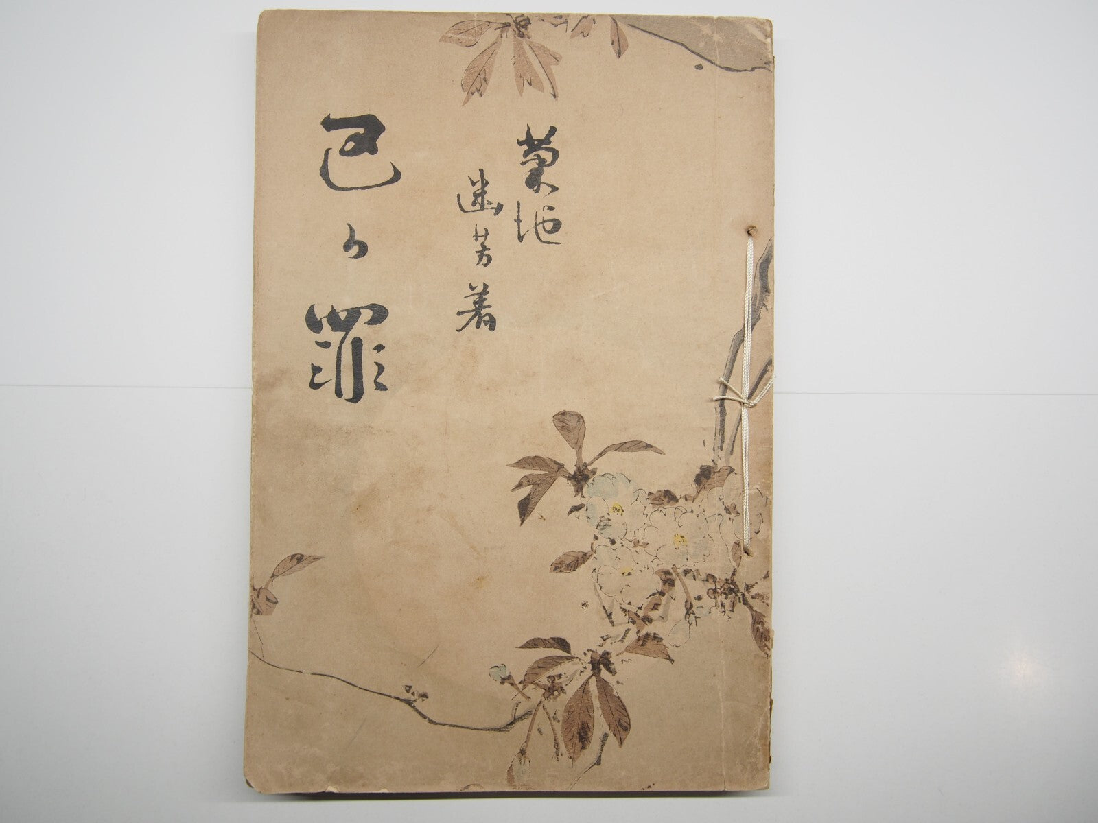 Image #6