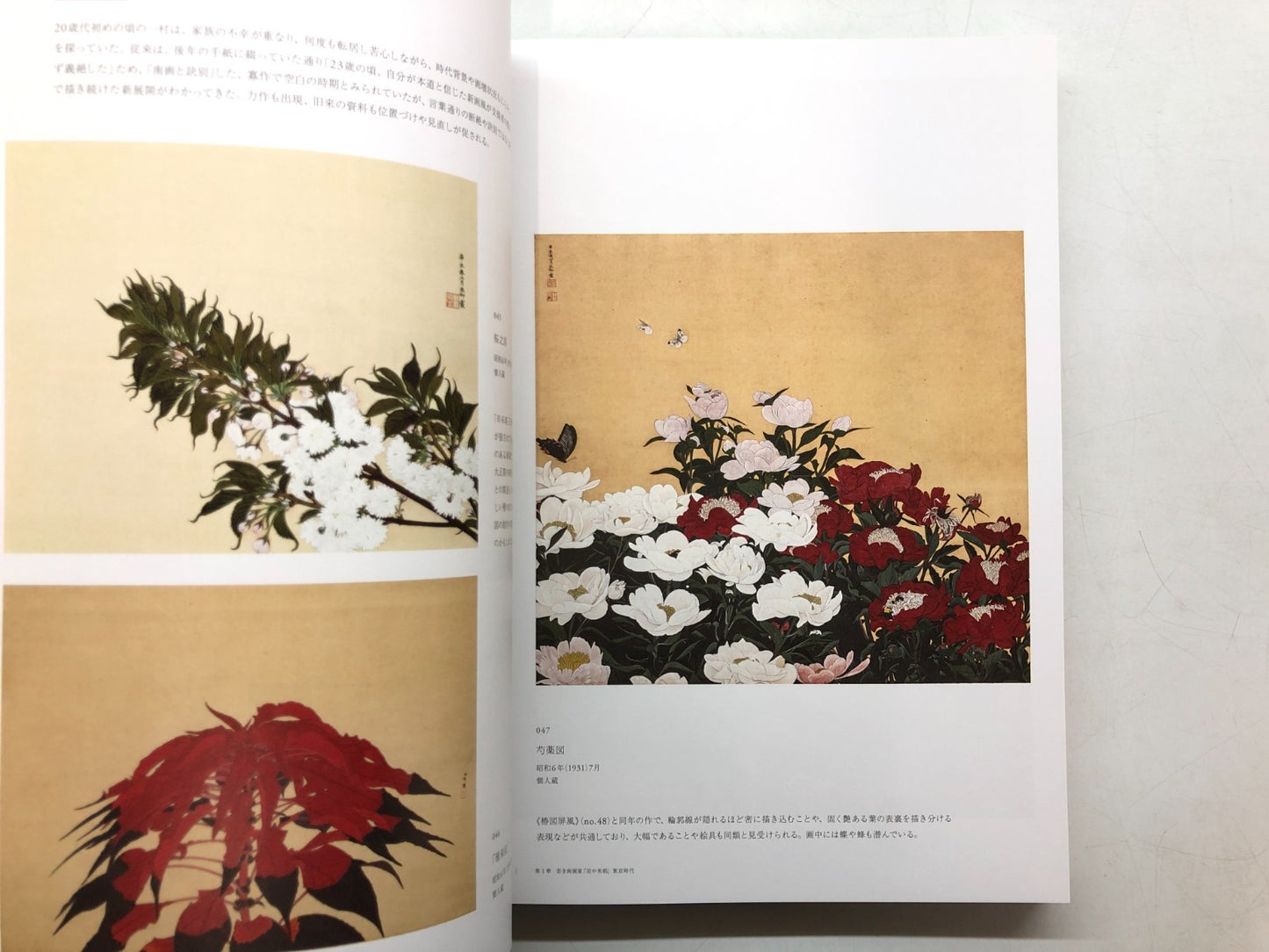 Image #6