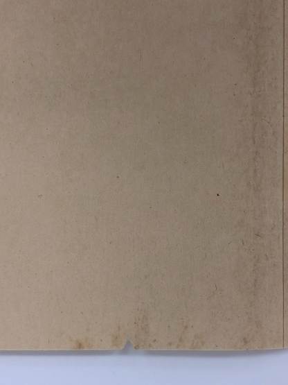 Image #17