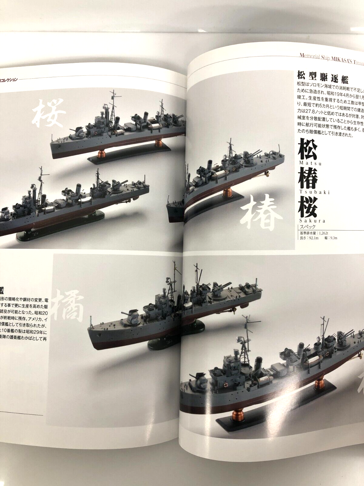 Image #5