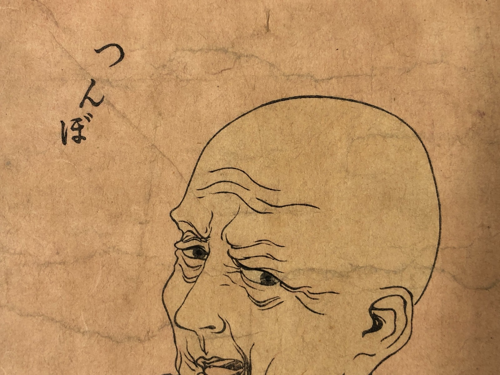 Image #12