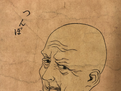 Image #12