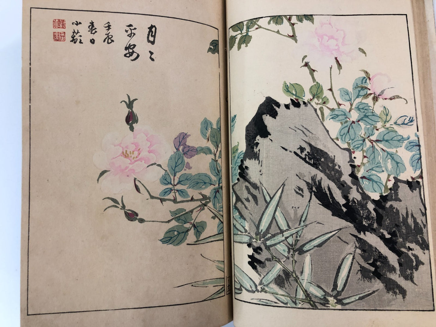 Image #12