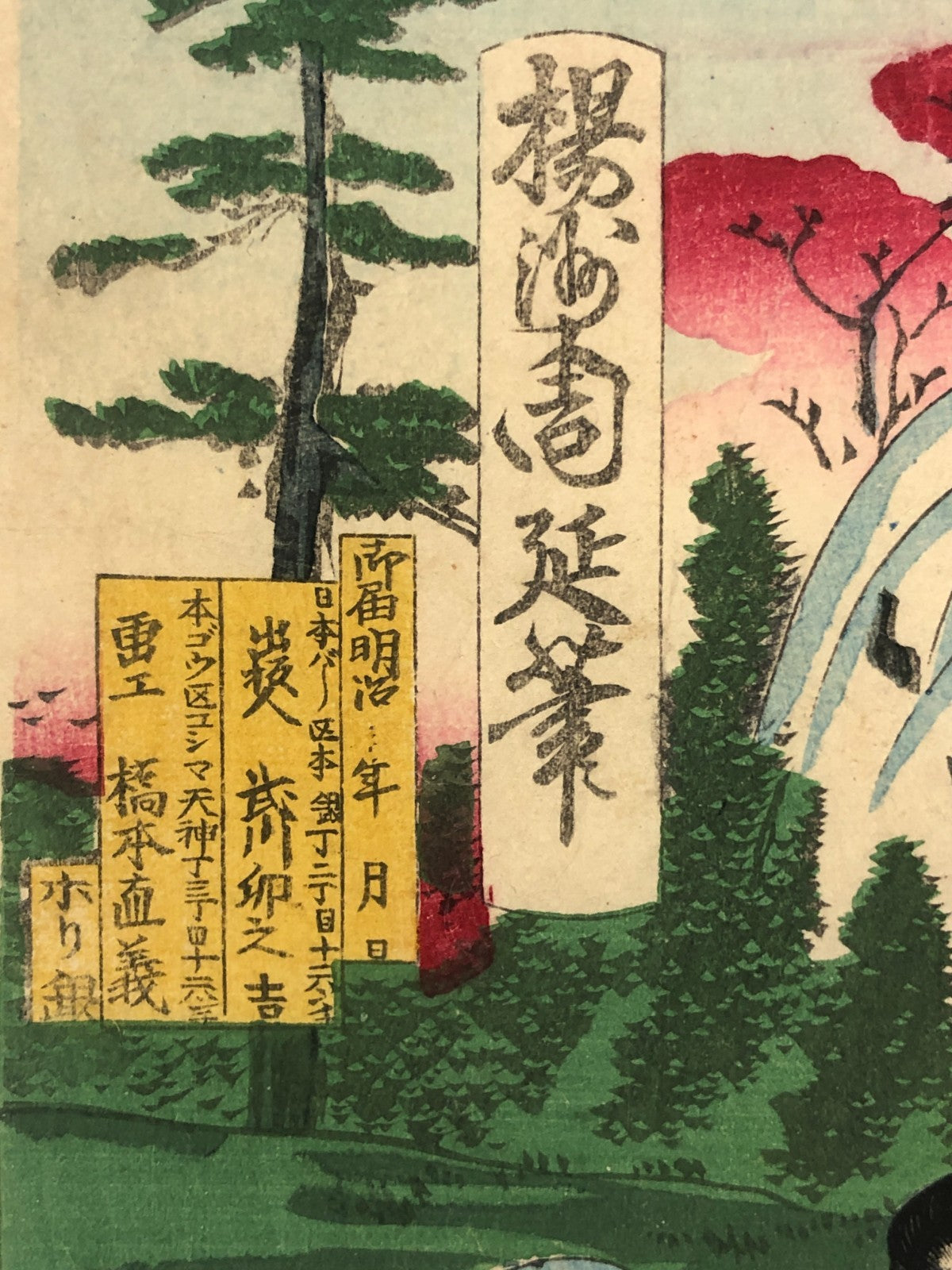 Image #7