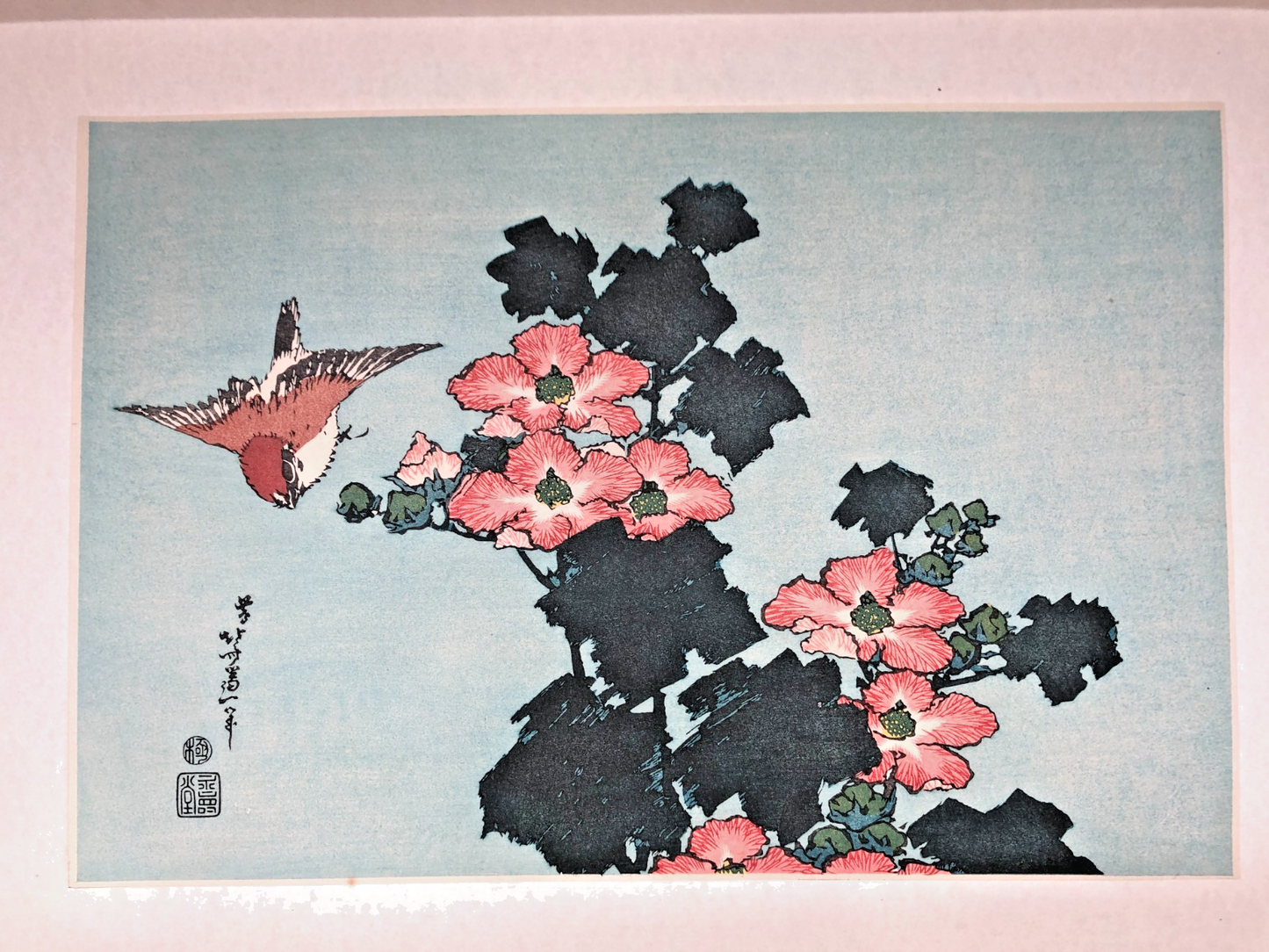 Image #1